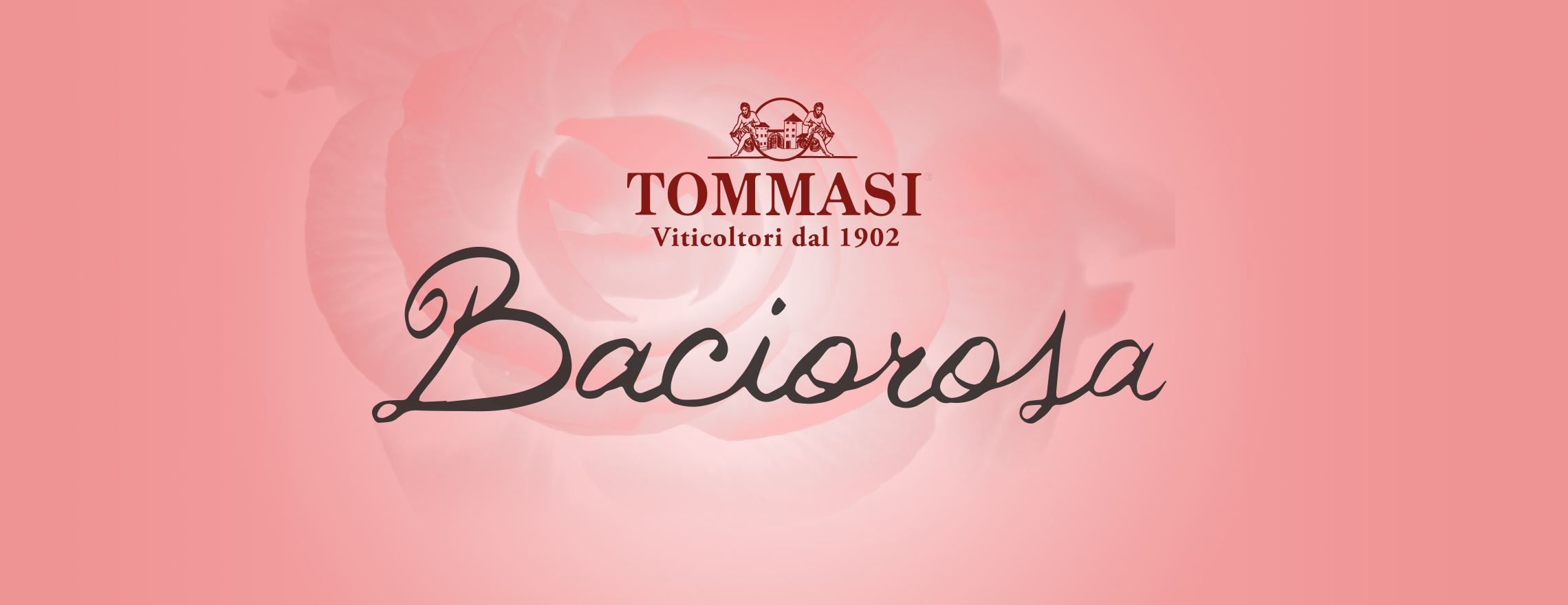 Tommasi Baciorosa Banner 3