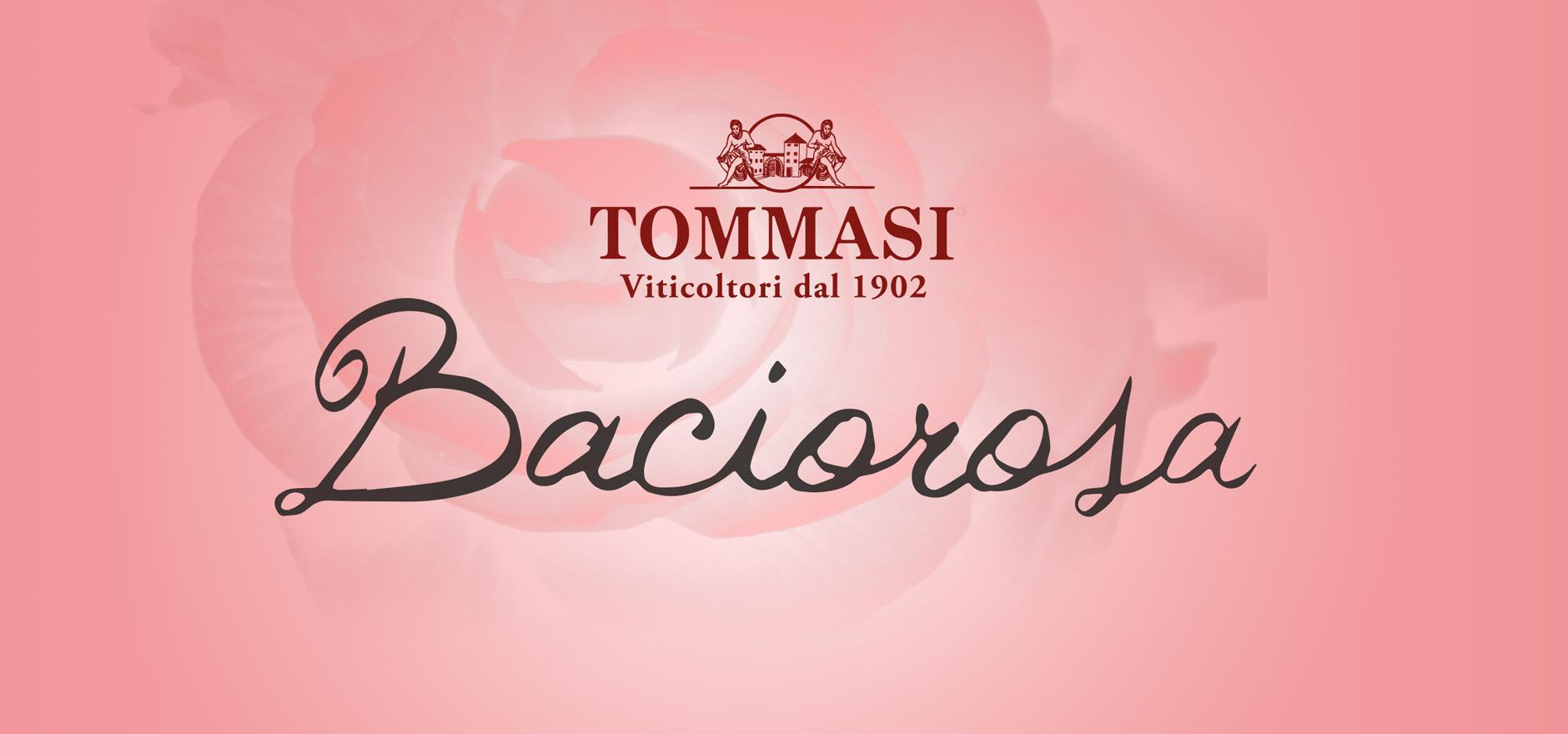 Tommasi Baciorosa Banner 3