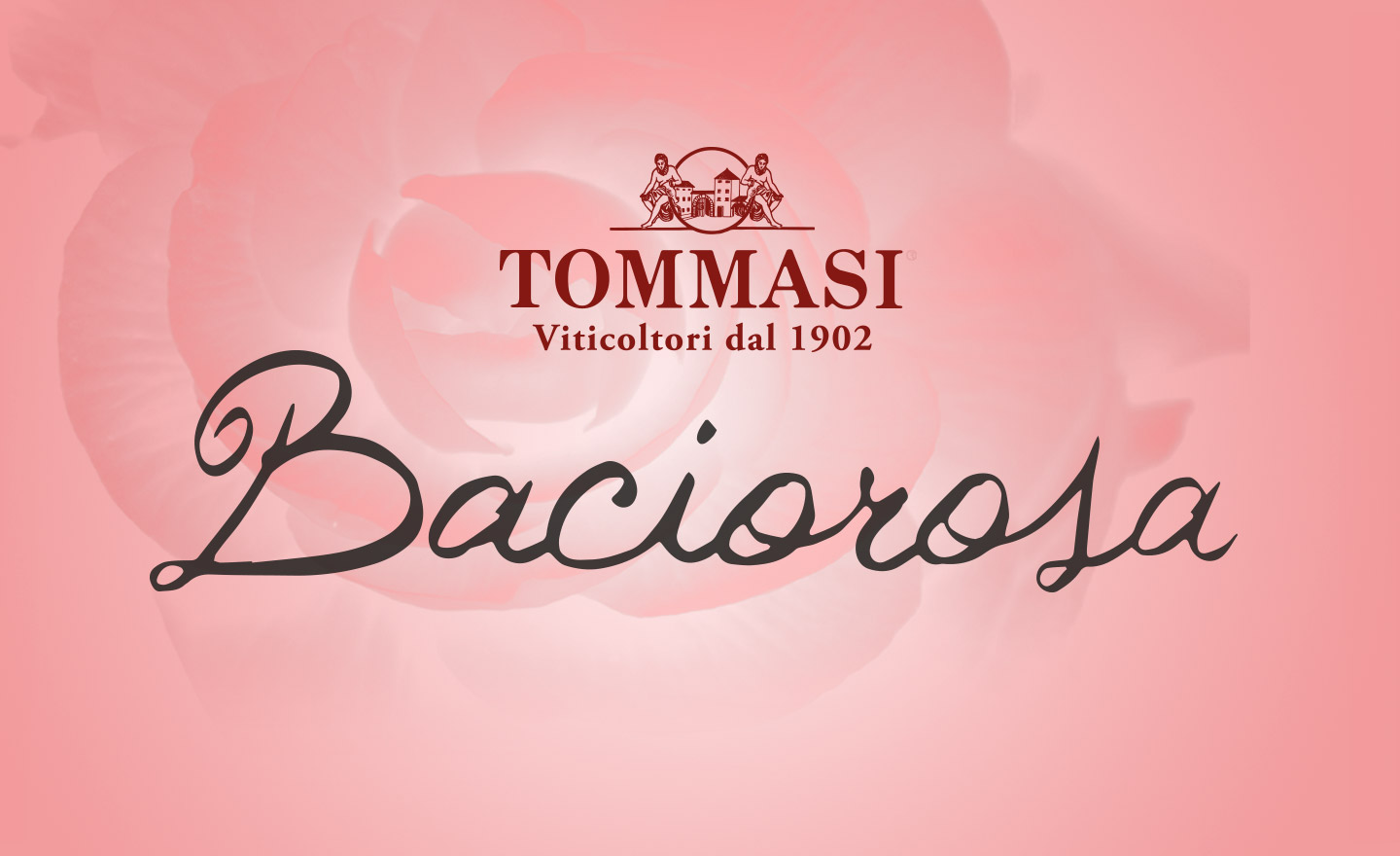 Tommasi Baciorosa Banner 3